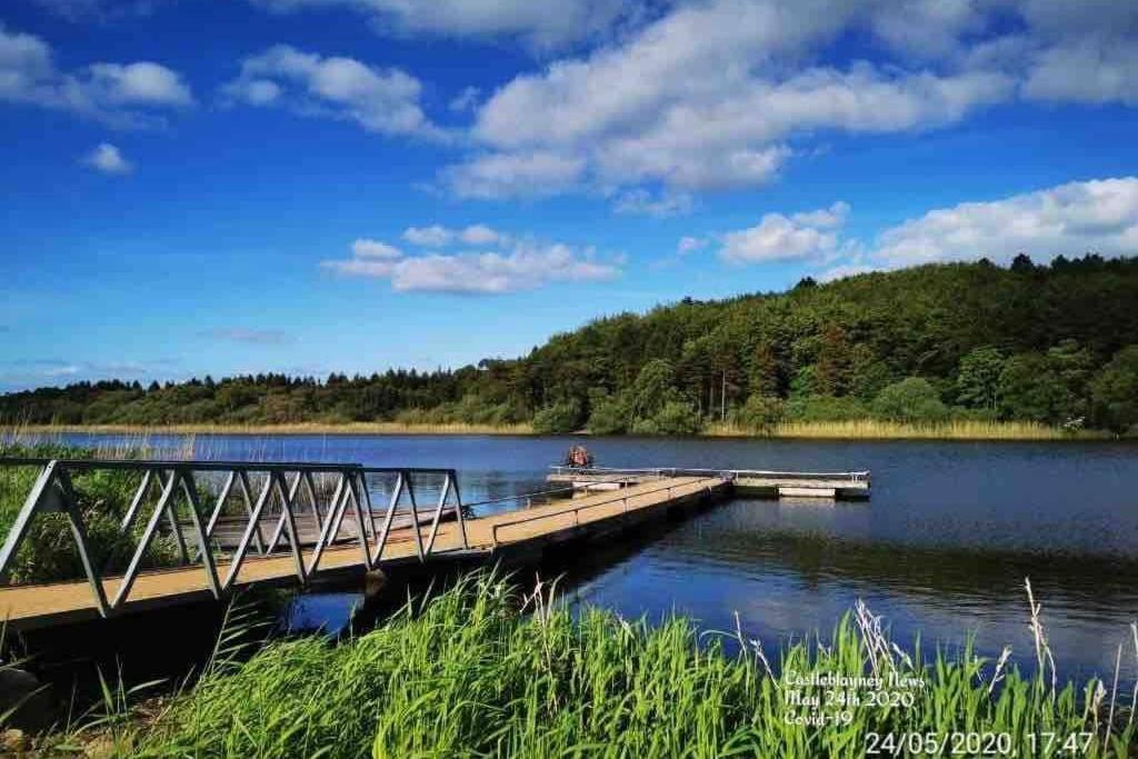 Glenmount Castleblayneyヴィラ エクステリア 写真