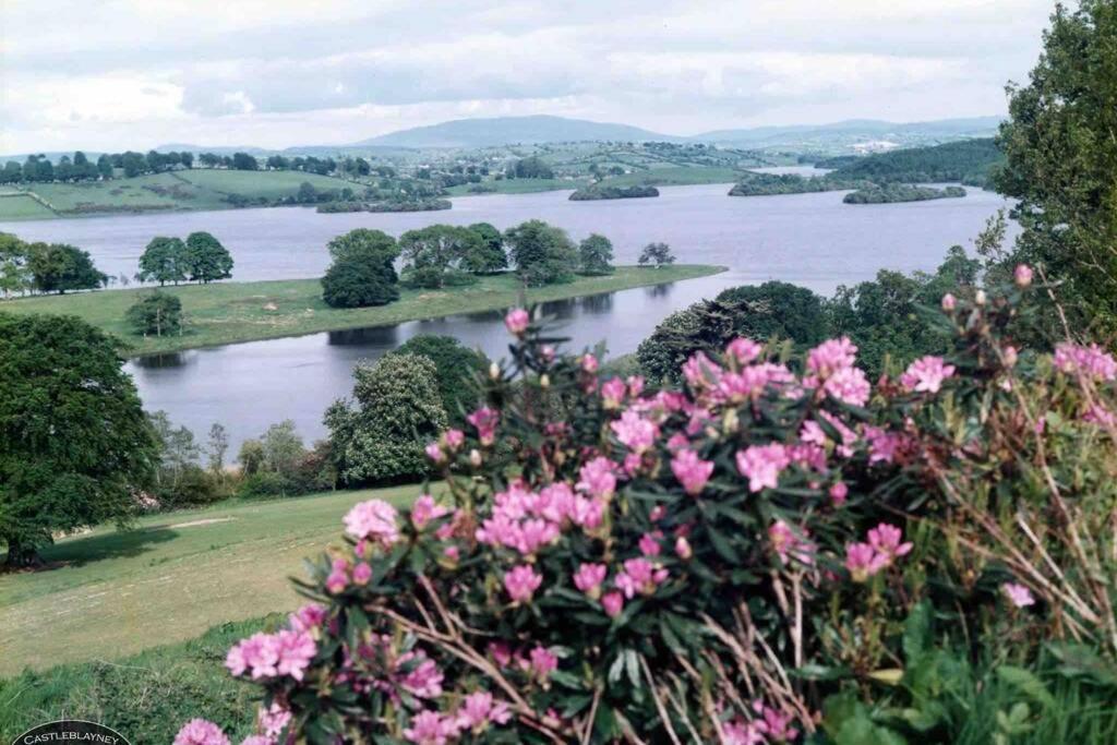 Glenmount Castleblayneyヴィラ エクステリア 写真
