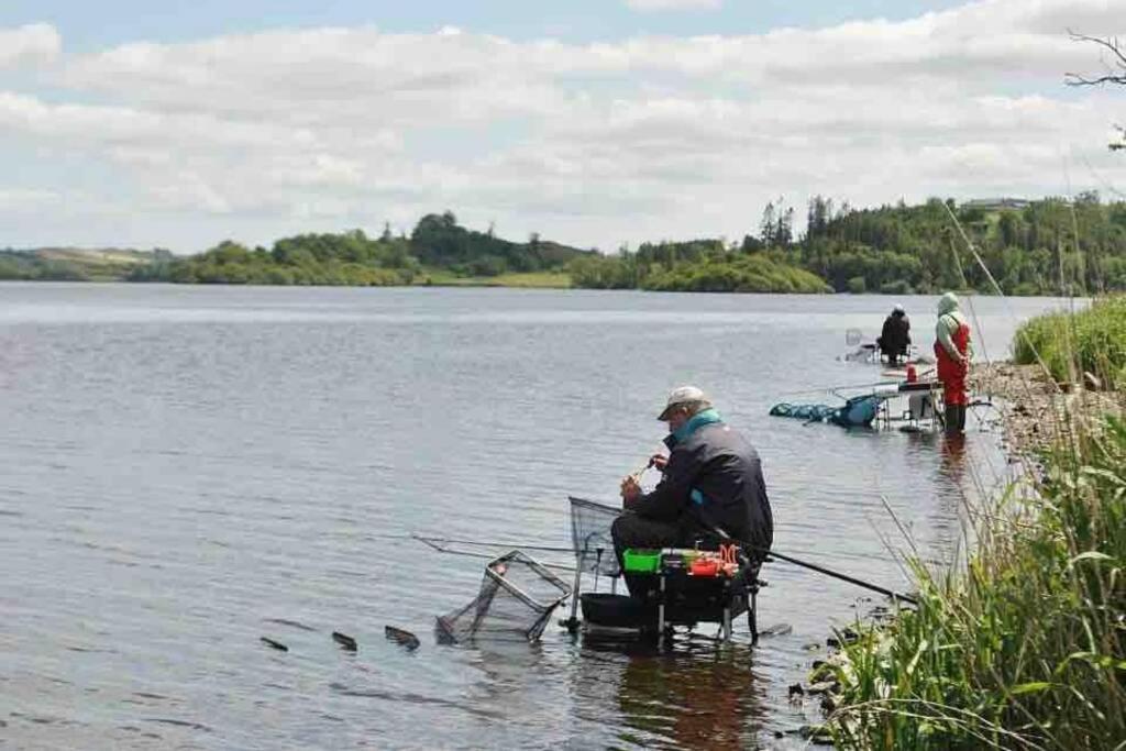 Glenmount Castleblayneyヴィラ エクステリア 写真