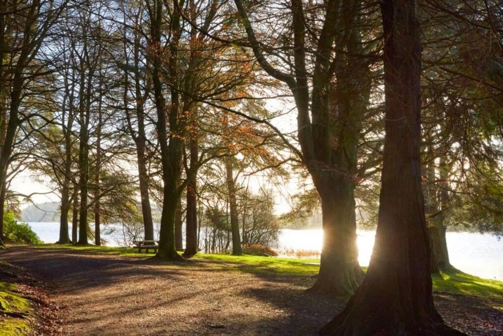 Glenmount Castleblayneyヴィラ エクステリア 写真